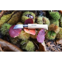 Opinel Couteau N°07 Châtaigne, Ail Et Dénoyauteur -Pas Cher Cuire Joie Magasin 411012 3 2 Couteau N 07 chataigne ail et denoyauteur Opinel