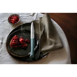 Opinel Coffret 4 Couteaux De Table Lame Micro-dentée 11 Cm Bon Appétit Plus Anthracite -Pas Cher Cuire Joie Magasin 419003 4 2 Coffret 4 couteaux de table lame micro dentee 11 cm Bon Appetit Plus anthracite Opinel