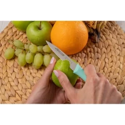 Set 3 Couteaux D'office 8,5 Cm Coloris Pastel 7 Set 3 Couteaux D'office 8,5 Cm Coloris Pastel -Pas Cher Cuire Joie Magasin 419014 2 2 Set 3 couteaux d office 8 5 cm coloris pastel Arcos