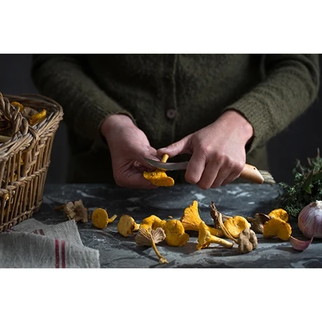 Opinel Couteau à Champignons Pliant N°8 Lame Inox 8 Cm 2 Opinel Couteau à Champignons Pliant N°8 Lame Inox 8 Cm – Image 2