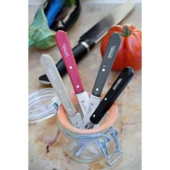 Opinel Coffret 4 Couteaux Essentiels Loft -Pas Cher Cuire Joie Magasin 471165 2 3 Coffret 4 couteaux Essentiels Loft Opinel