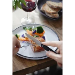 Opinel Couteau De Table N°125 Pro Noir -Pas Cher Cuire Joie Magasin 471237 2 2 Couteau de table N 125 Pro Noir Opinel