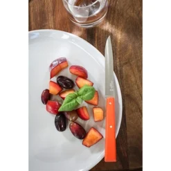 Opinel Coffret 4 Couteaux De Table Pop -Pas Cher Cuire Joie Magasin 471245 4 3 Coffret 4 couteaux de table Pop Opinel