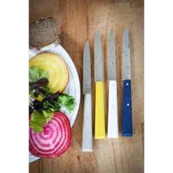 Opinel Coffret 4 Couteaux De Table Céleste -Pas Cher Cuire Joie Magasin 471246 3 3 Coffret 4 couteaux de table Celeste Opinel