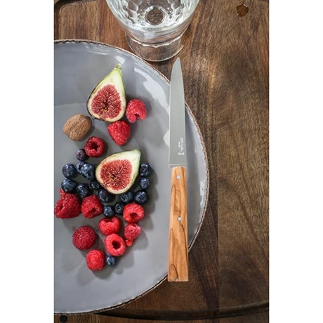 Opinel Coffret 4 Couteaux De Table Esprit Sud 4 Opinel Coffret 4 Couteaux De Table Esprit Sud – Image 4