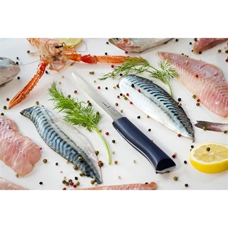 Opinel Couteau Effilé Intempora N°221 18 Cm 4 Opinel Couteau Effilé Intempora N°221 18 Cm – Image 4