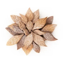 Silikomart Emporte-pièce Voila Cookie - Feuilles 24 X 15 Cm -Pas Cher Cuire Joie Magasin 561004 2 2 Emporte piece Voila cookie Feuilles 24 x 15 cm Silikomart