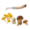 Set Brosse à Champignons Et Couteau à Champignons Pliant N°8