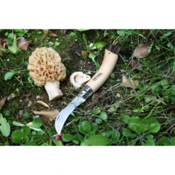 Set Brosse à Champignons Et Couteau à Champignons Pliant N°8 -Pas Cher Cuire Joie Magasin 609165 1 1 Set brosse a champignons et couteau a champignons pliant N 8