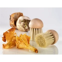 Set Brosse à Champignons Et Couteau à Champignons Pliant N°8 -Pas Cher Cuire Joie Magasin 609165 3 1 Set brosse a champignons et couteau a champignons pliant N 8